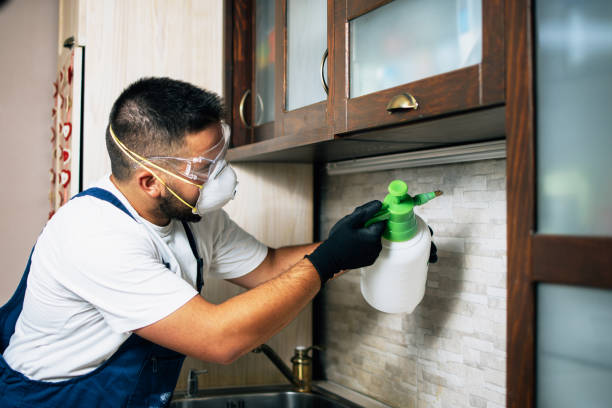Best Pest Prevention Services  in Georgetown, IL