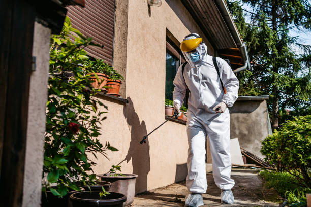 Best Exterminator Services  in Georgetown, IL