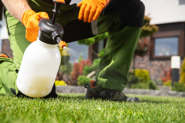 Best Mosquito Control Services  in Georgetown, IL