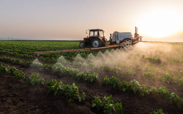 Best Insect Control  in Georgetown, IL