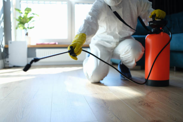 Best Bed Bug Extermination  in Georgetown, IL