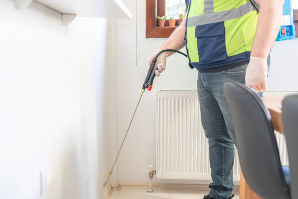 Best Termite Control Services  in Georgetown, IL