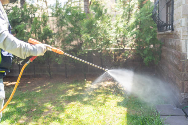  Georgetown, IL Pest Control Pros