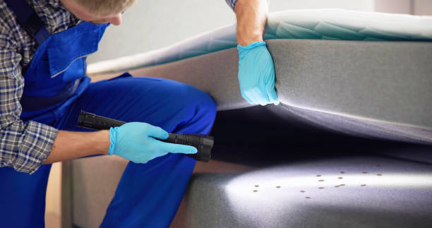 Professional Pest Control in Georgetown, IL