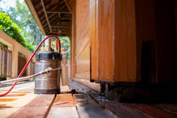 Best Cockroach Control Services  in Georgetown, IL
